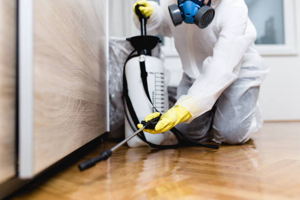 Best Flea Control Services  in Algonquin, MD