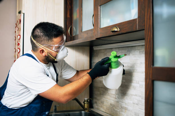 Best Pest Removal Services  in Algonquin, MD