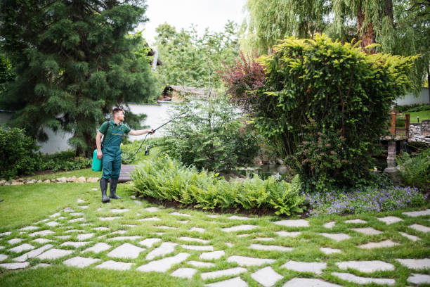 Best Affordable Pest Control Services  in Algonquin, MD