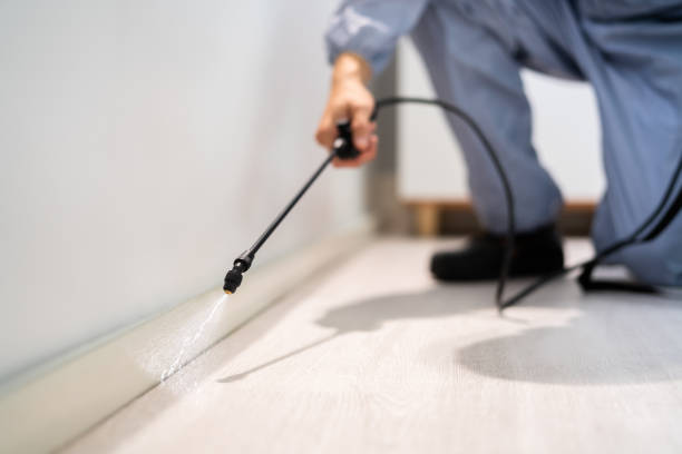 Professional Pest Control in Algonquin, MD