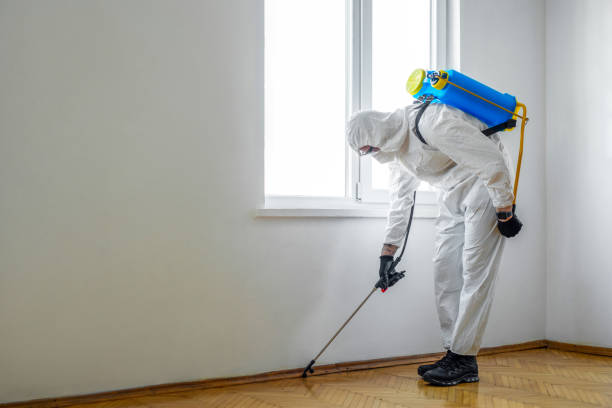 Best Best Pest Control Companies  in Algonquin, MD