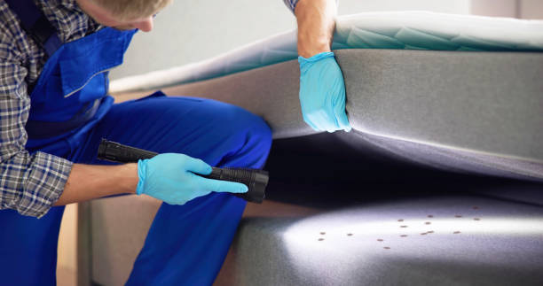 Best Residential Pest Control  in Algonquin, MD
