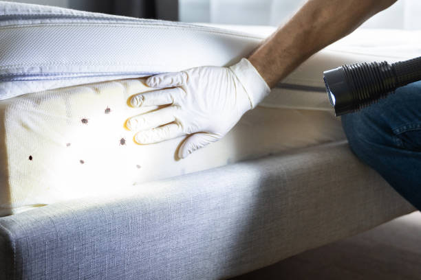 Best Pest Inspection Near Me  in Algonquin, MD