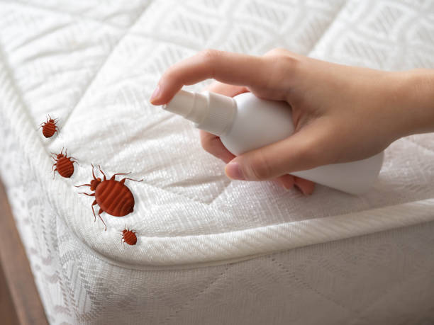 Best Pest Removal Services  in Algonquin, MD