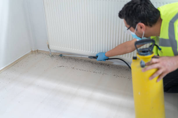 Best Ant Control Services  in Algonquin, MD