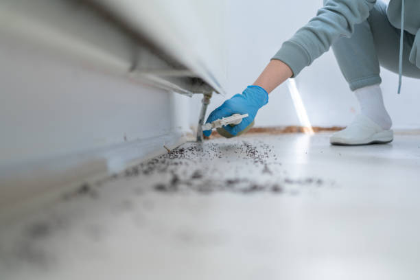  Algonquin, MD Pest Control Pros